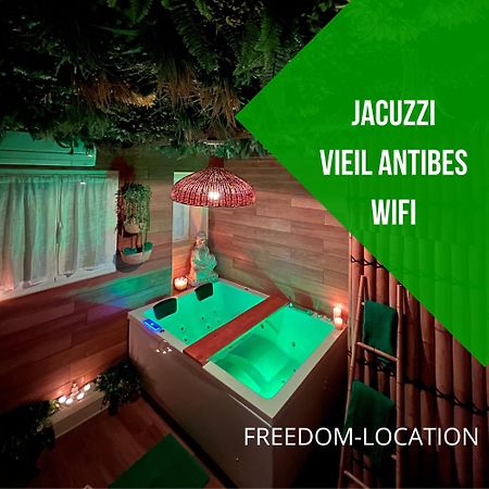 Le Balneo Jacuzzi Vieil Antibes Safranier公寓 外观 照片