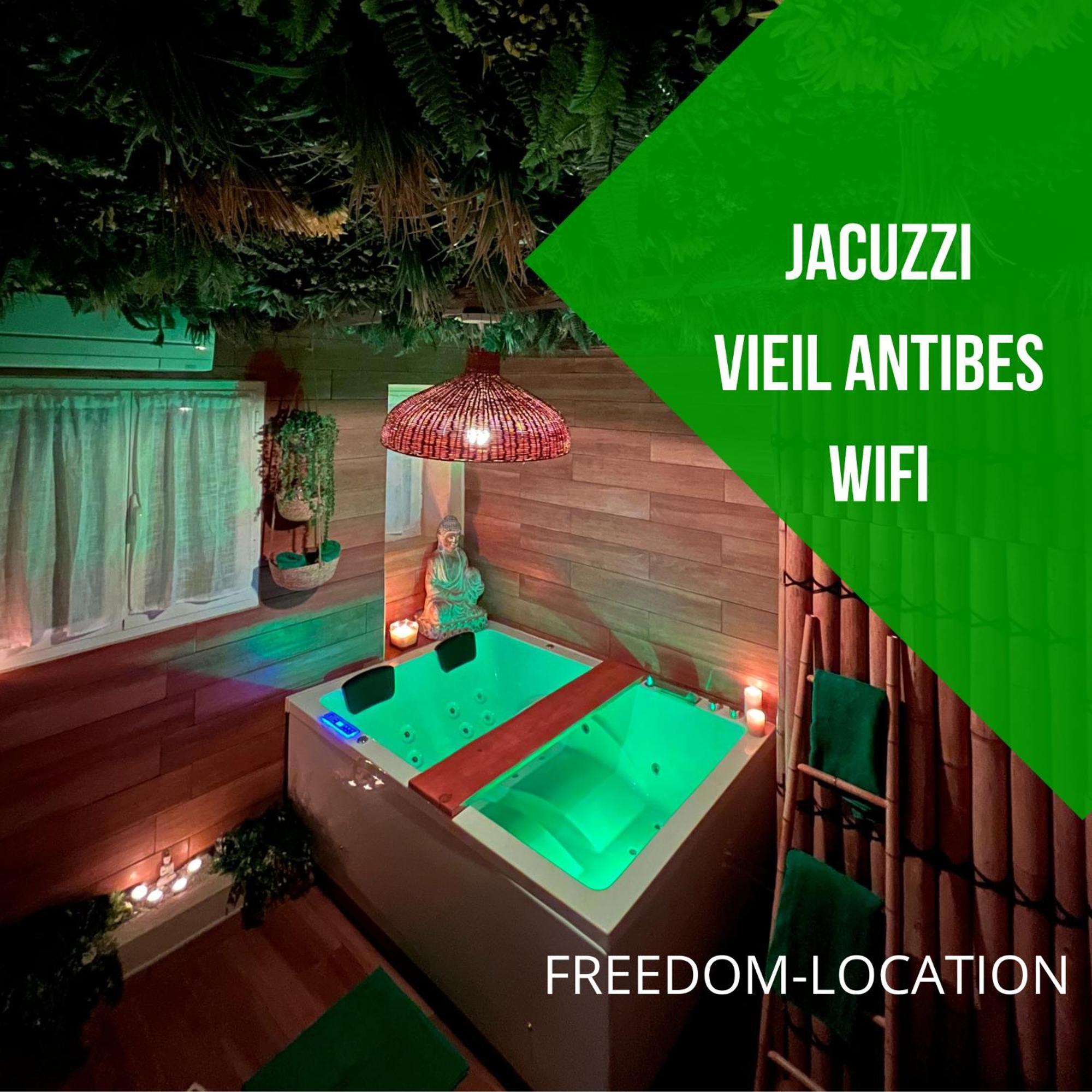 Le Balneo Jacuzzi Vieil Antibes Safranier公寓 外观 照片